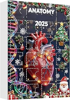 Calendrier de l’Avent 2025 | Calendrier de l'Avent scientifique des figurines d'anatomie 2D | Pendentifs de noël éducatifs pour médecins, mur de Table, salon, chambre à coucher, fenêtre, porte, chemin